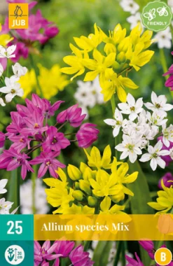 ohgreen 25 allium species mix