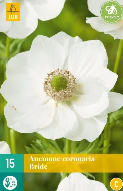 ohgreen 15 bloembollen anemone coronaria bride