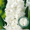 ohgreen 3 bloembollen hyacinthus dubbel wit