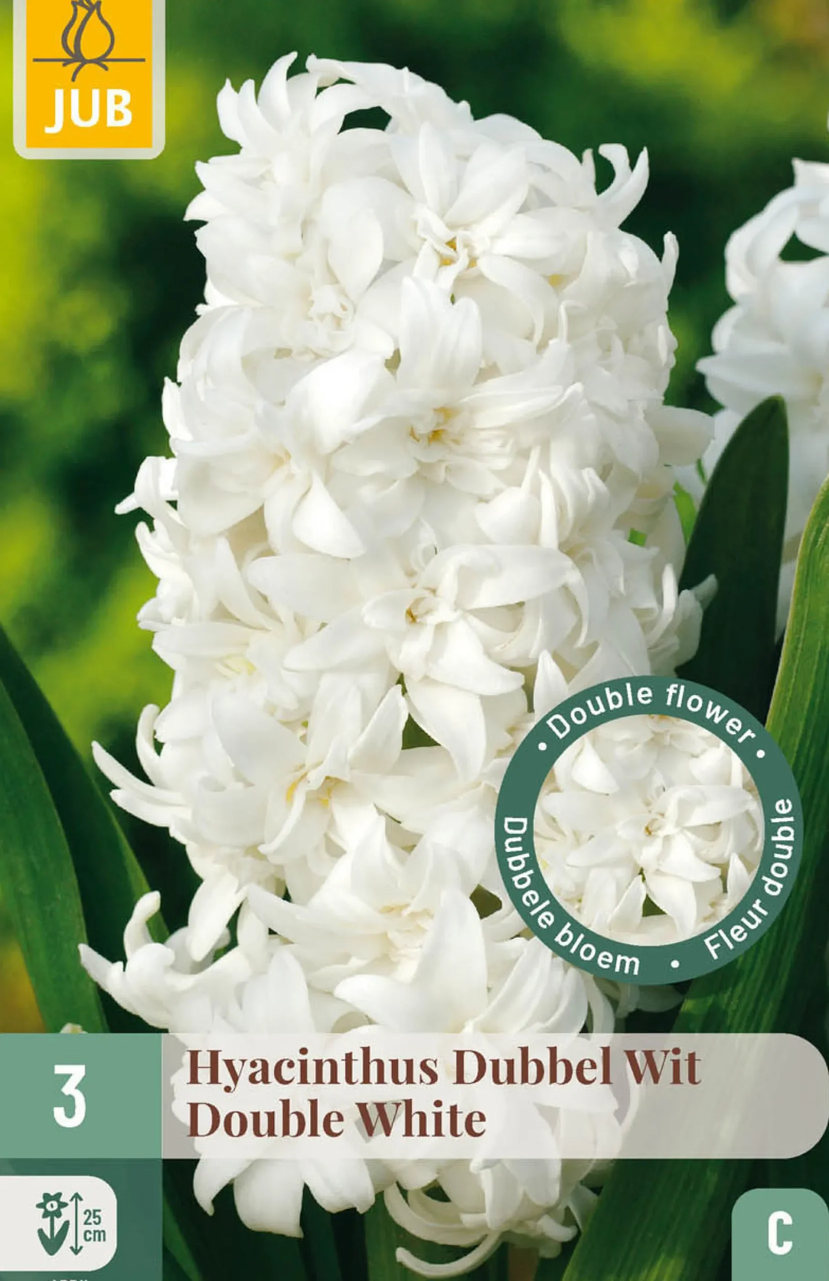 ohgreen 3 bloembollen hyacinthus dubbel wit