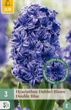 ohgreen 3 bloembollen hyacinthus dubbel blauw