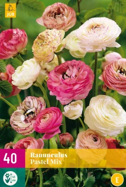 ohgreen 40 bloembollen ranunculus pastel mix
