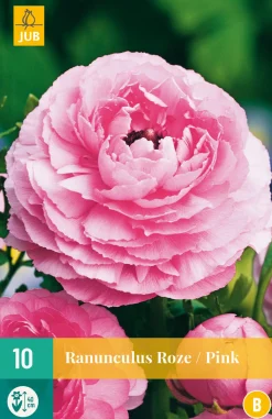 ohgreen 10 bloembollen ranunculus roze