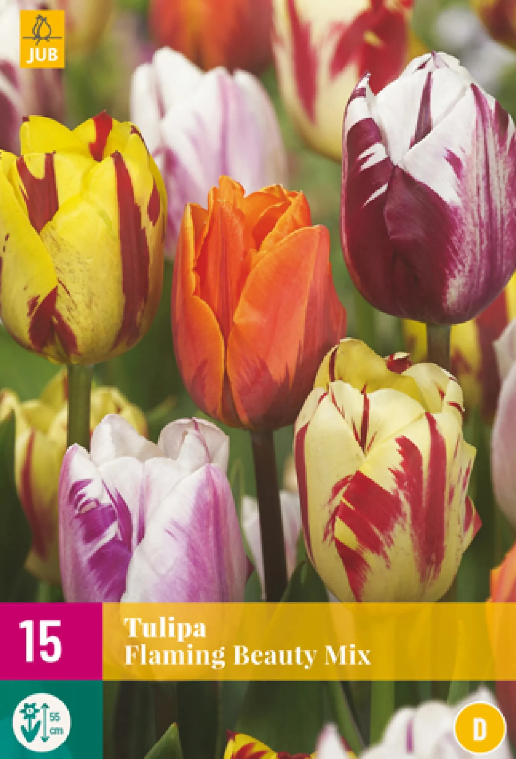ohgreen 15 bloembollen tulipa flaming beauty mix