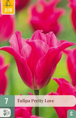ohgreen 7 bloembollen tulipa pretty love