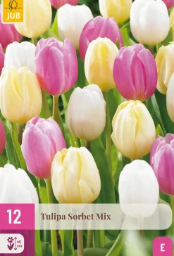 ohgreen 12 bloembollen tulipa sorbet mix