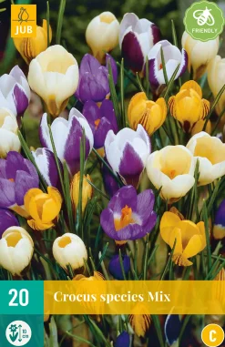 ohgreen 20 crocus species mix