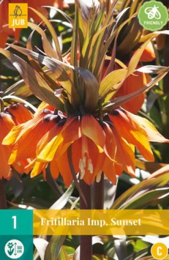 ohgreen 1 fritillaria imp. sunset
