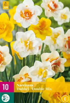 ohgreen 10 narcissus dubbel mix