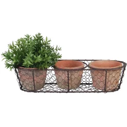 ohgreen 3 potjes in draadmand