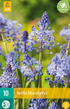 ohgreen 10 scilla litardierei