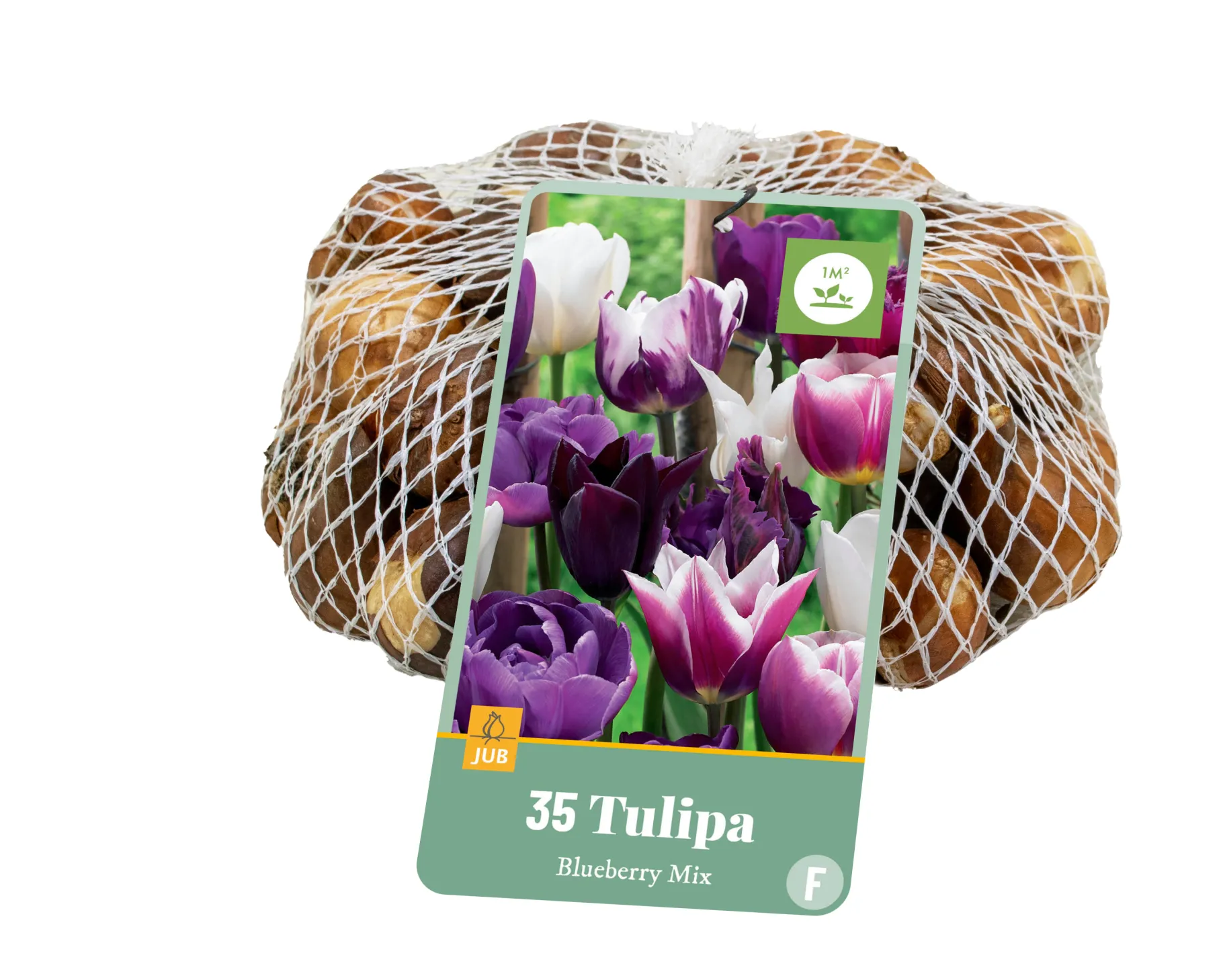 ohgreen 35 tulipa blueberry mix