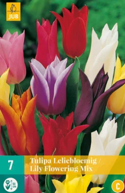 ohgreen 7 tulipa leliebloemig mix