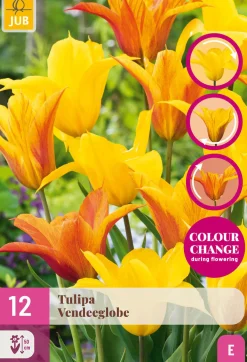 ohgreen 12 tulipa vendeeglobe