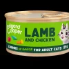 ohgreen Adult lam&kip in saus 85g