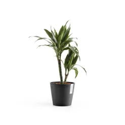 ohgreen Amsterdam 20cm donkergrijs met waterreservoir