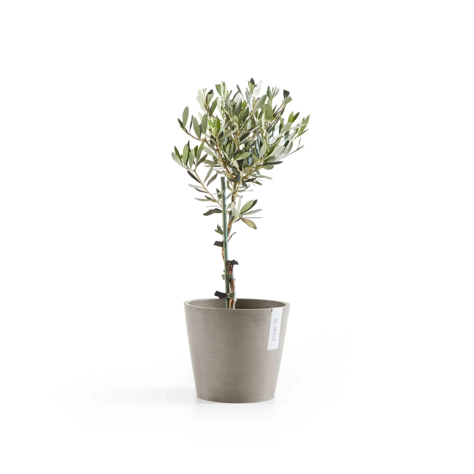 ohgreen Amsterdam 20cm taupe met waterreservoir