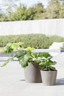 ohgreen Amsterdam 20cm taupe met waterreservoir