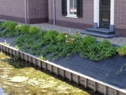 ohgreen Anti-worteldoek