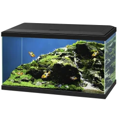 ohgreen Aquarium aqua 60 led bio cf150