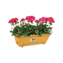 ohgreen Barcelona allin1