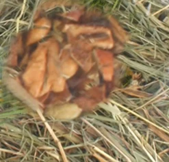 ohgreen Berghooi met appel 500 gr.