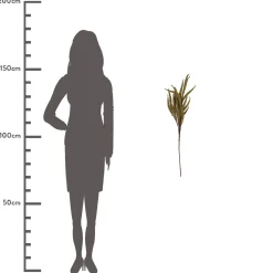 ohgreen Bessentak piepschuim beige 77cm