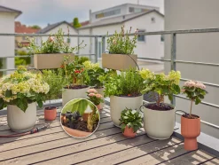 ohgreen Bewatering Balkon Set