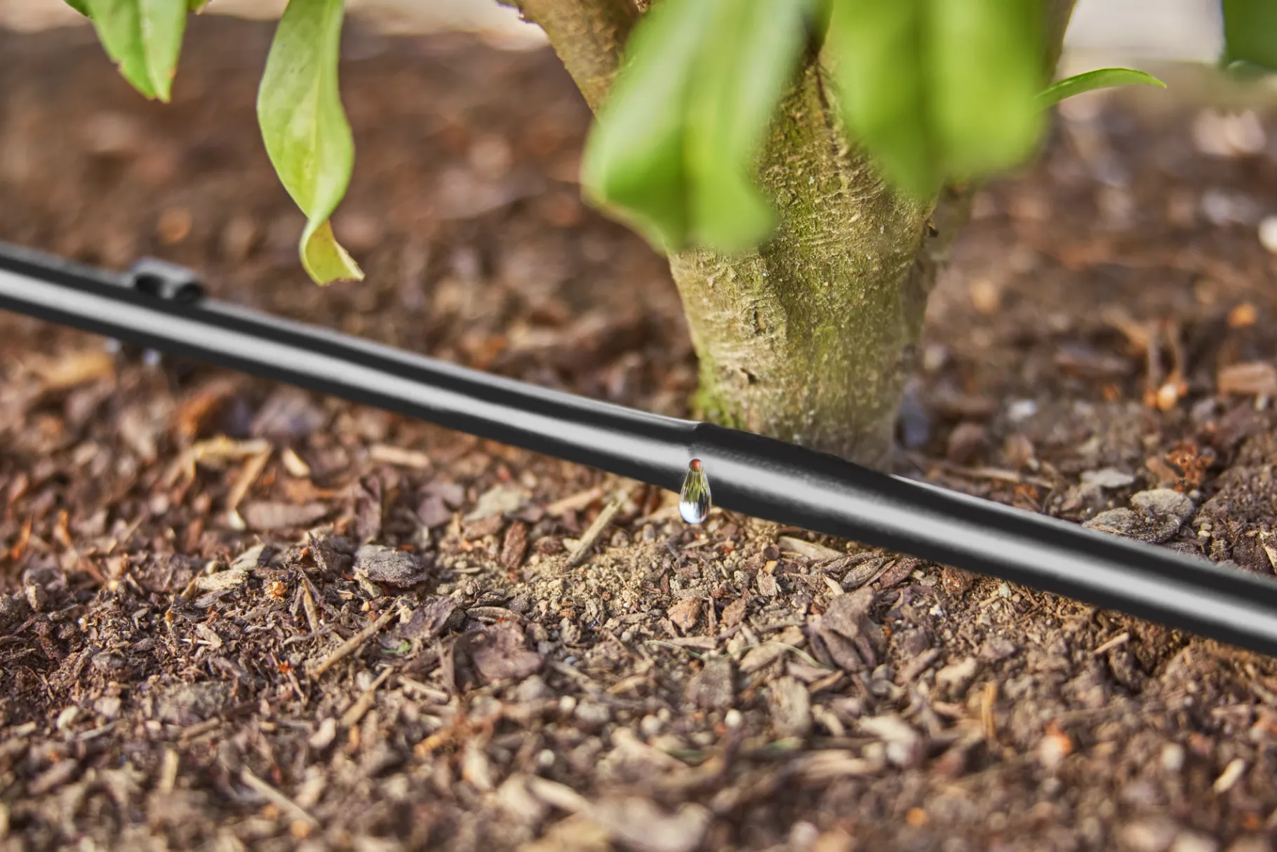 ohgreen Bewatering heggen of struiken set