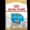 ohgreen Bhn chihuahua puppy 500g