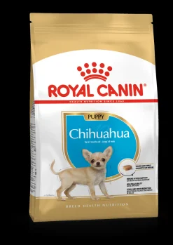ohgreen Bhn chihuahua puppy 500g