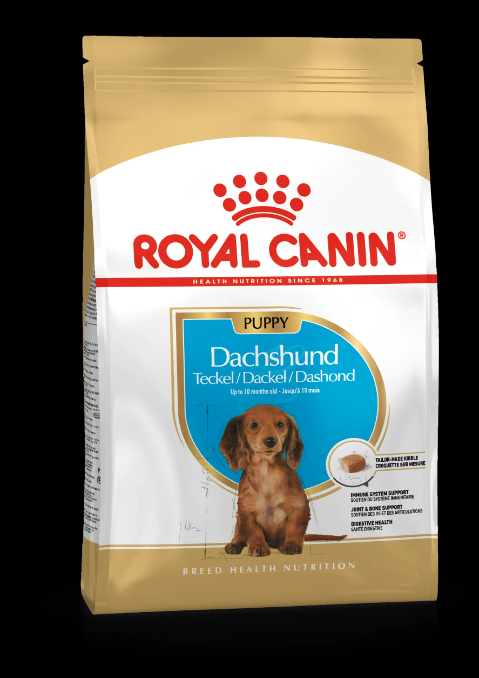 ohgreen Bhn dachshund puppy 1.5kg