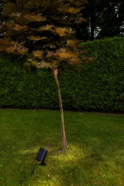 ohgreen Bingo solar prikspot