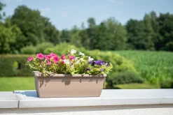 ohgreen Bloembak relax 60cm taupe