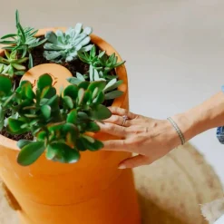 ohgreen Bloemen composter 2 lagen