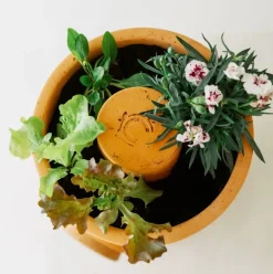 ohgreen Bloemen composter 2 lagen