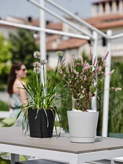 ohgreen Bloempot Orione 24cm wolkwit