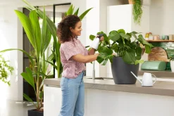 ohgreen Bloemspuit 0,7l