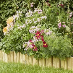 ohgreen Boduur recht Cala