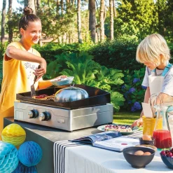 ohgreen Boek Incroyable plancha LAROUSSE