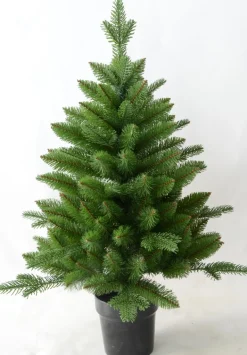 ohgreen Boom in pot 60 x 90cm