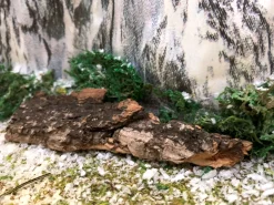 ohgreen Boomschors kurk 12x18cm