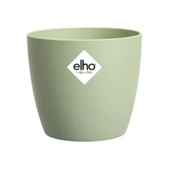 ohgreen Brussels rond mini