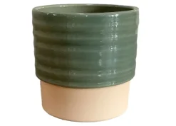 ohgreen Cellos pot dusty