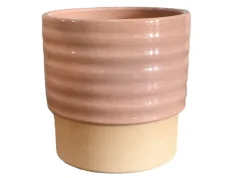 ohgreen Cellos pot dusty