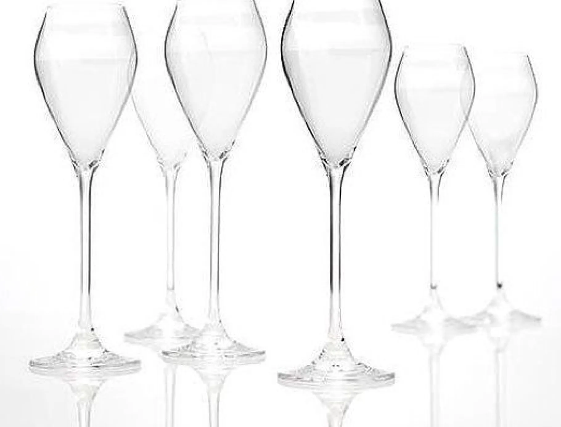 ohgreen Champagneglas cuvée - set van 6
