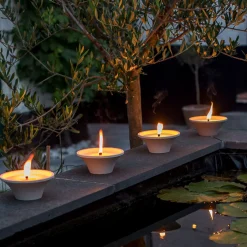 ohgreen Citronellakaars in witte schaal - Asian Garden