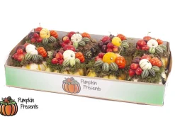 ohgreen Compositie pompoen arrangement