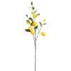 ohgreen Decoratie citroen branche geel - l104cm