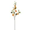 ohgreen Decoratie tangerine branche oranje - l104cm